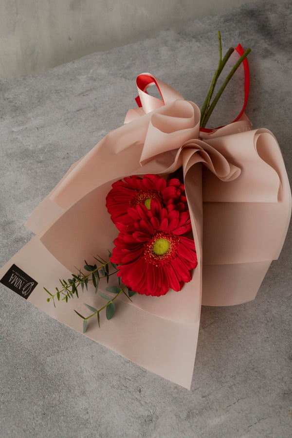 Camelia